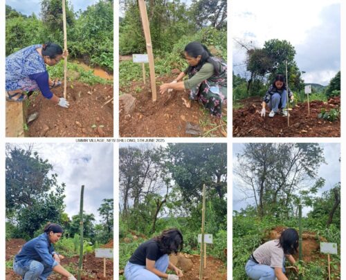 Environment 2025